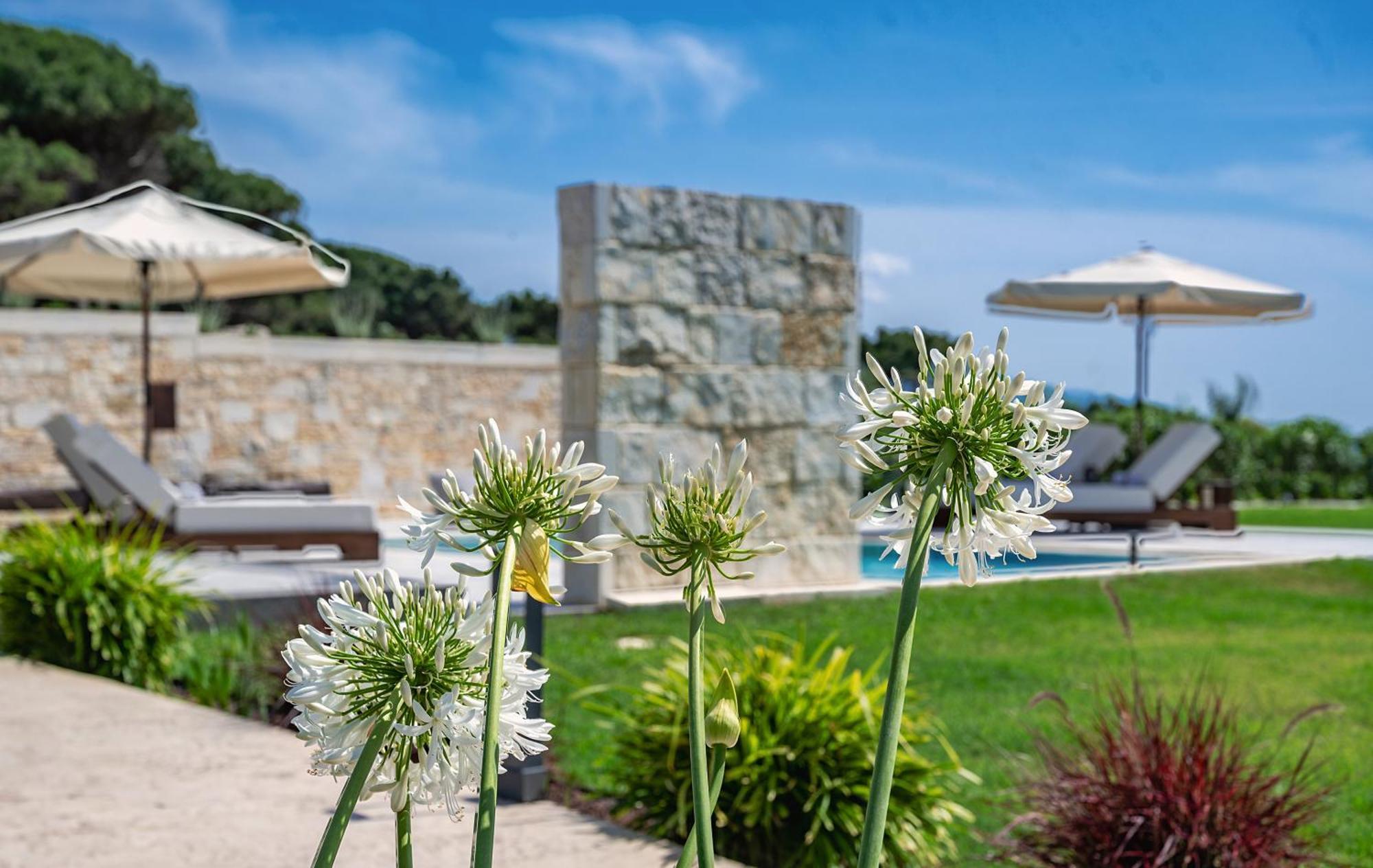 Theluxuryvillas Превеза Екстериор снимка
