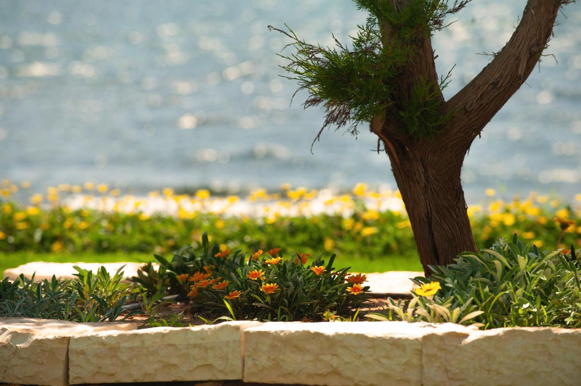 Theluxuryvillas Превеза Екстериор снимка